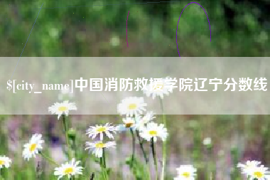 滕州中国消防救援学院辽宁分数线