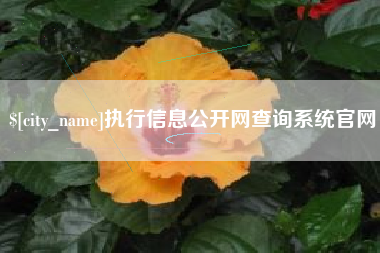 滕州执行信息公开网查询系统官网