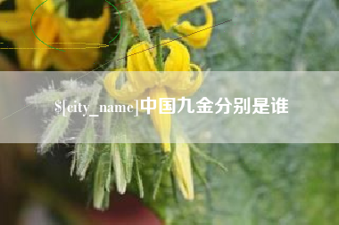 滕州中国九金分别是谁