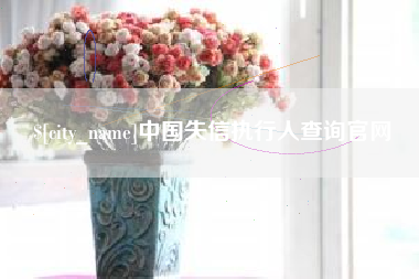 滕州中国失信执行人查询官网
