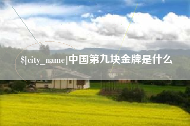 滕州中国第九块金牌是什么