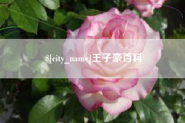 滕州王子豪百科