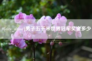 滕州男子五千米世界冠军奖金多少
