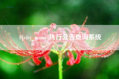 滕州执行公告查询系统