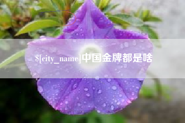 滕州中国金牌都是啥