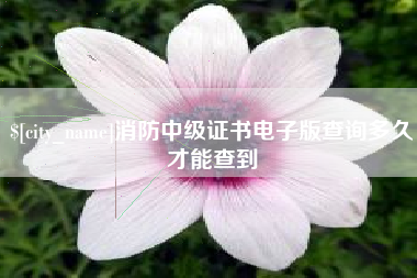 滕州消防中级证书电子版查询多久才能查到