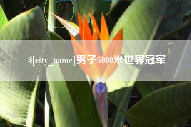 滕州男子5000米世界冠军