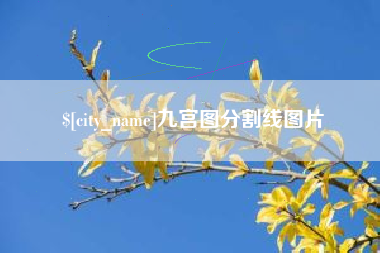 滕州九宫图分割线图片