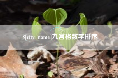 滕州九宫格数字排序