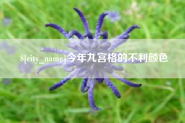 滕州今年九宫格的不利颜色
