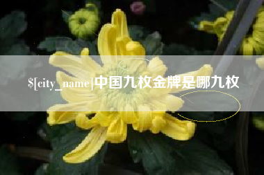 滕州中国九枚金牌是哪九枚