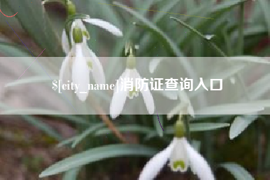 滕州消防证查询入口