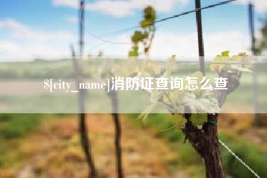 滕州消防证查询怎么查