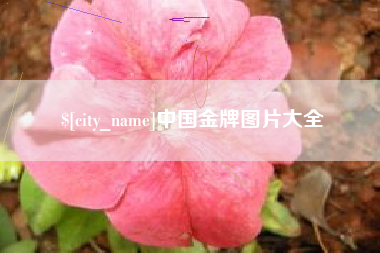 滕州中国金牌图片大全