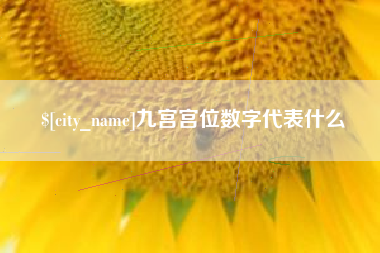 滕州九宫宫位数字代表什么