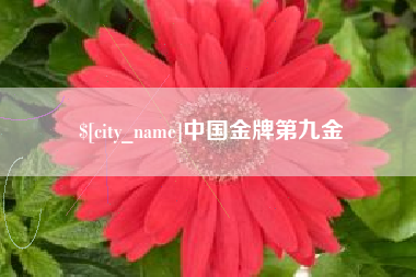 滕州中国金牌第九金