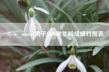 滕州男子5000米年龄成绩对照表