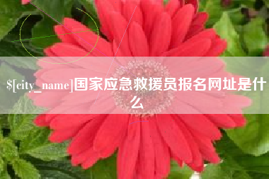 滕州国家应急救援员报名网址是什么