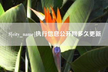 滕州执行信息公开网多久更新