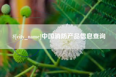 滕州中国消防产品信息查询
