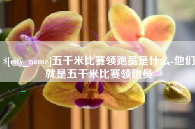 滕州五千米比赛领跑员是什么-他们就是五千米比赛领跑员
