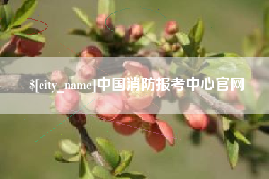 滕州中国消防报考中心官网