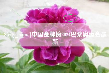 滕州中国金牌榜2024巴黎奥运会最新