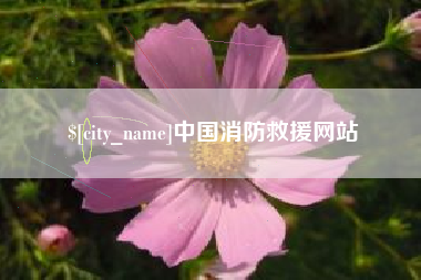 滕州中国消防救援网站