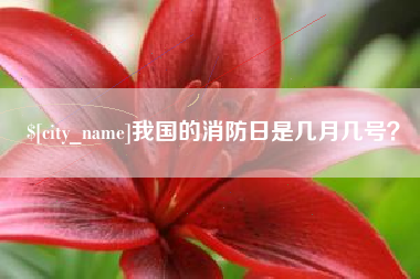 滕州我国的消防日是几月几号？