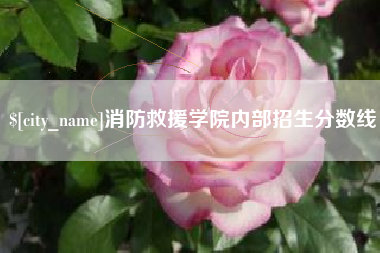 滕州消防救援学院内部招生分数线
