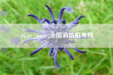 滕州全国消防招考网