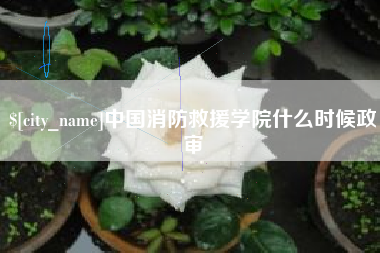 滕州中国消防救援学院什么时候政审