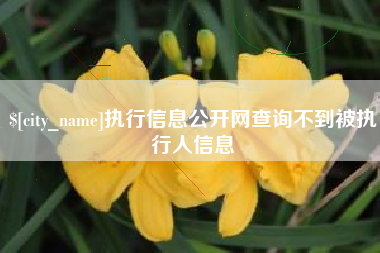 滕州执行信息公开网查询不到被执行人信息