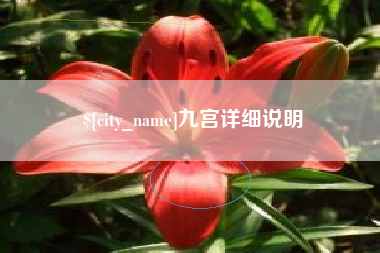 滕州九宫详细说明