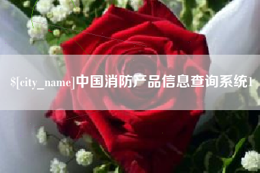 滕州中国消防产品信息查询系统1