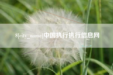 滕州中国执行执行信息网