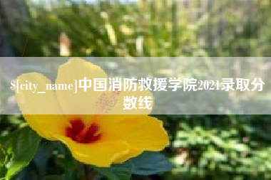 滕州中国消防救援学院2021录取分数线