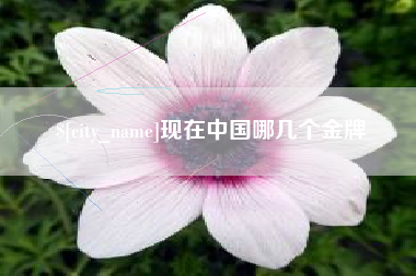 滕州现在中国哪几个金牌