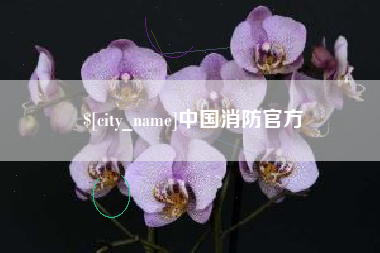 滕州中国消防官方