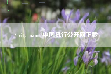 滕州中国执行公开网下载
