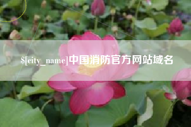 滕州中国消防官方网站域名