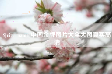 滕州中国金牌图片大全大图真实高清