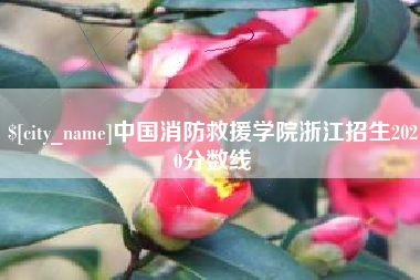 滕州中国消防救援学院浙江招生2020分数线
