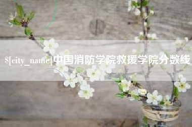 滕州中国消防学院救援学院分数线