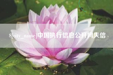 滕州中国执行信息公开网失信
