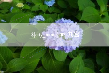 滕州2022九宫