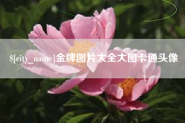 滕州金牌图片大全大图卡通头像