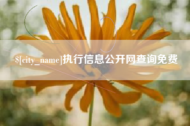滕州执行信息公开网查询免费