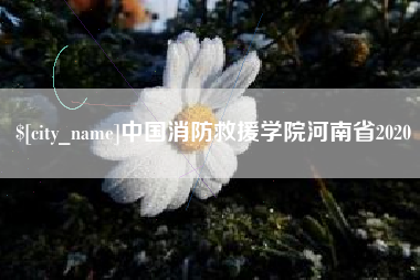 滕州中国消防救援学院河南省2020